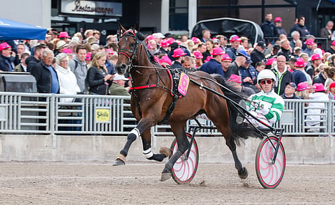 Mister F Daag Elitloppetissa viime vuonna.