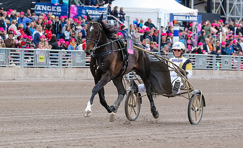 Önas Prince menestyi loistavasti ikäluokkalähdöissä.