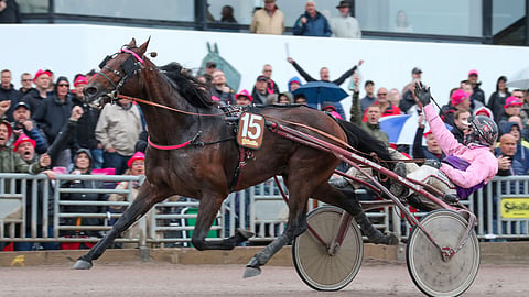 Diable de Vauvert voittaa Harper Hanoverin ja Gabriele Gelormini tuulettaa. 
