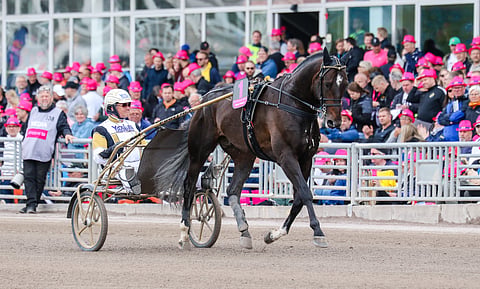 Ravit Ruotsi Malmö