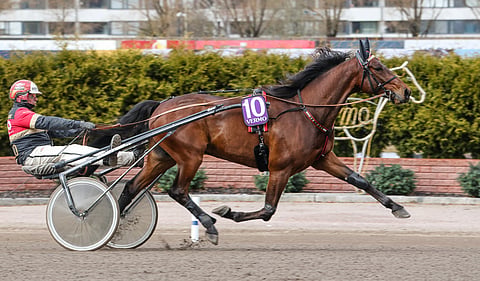 Unique Creation, Tapio Perttunen