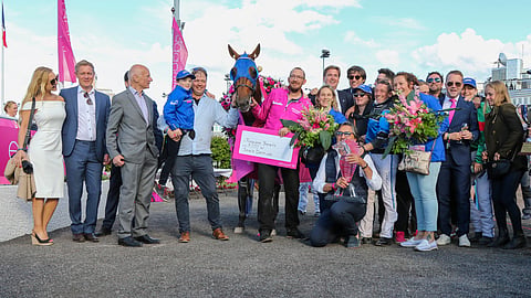 Elitloppet-voittaja Etonnant. 