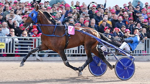Kuvassa Etonnant kirii Elitloppetin voittoon.