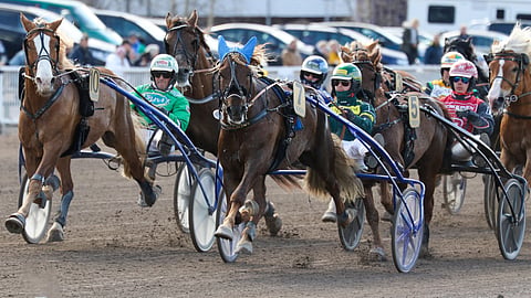 Parvelan Retu sai Stallonelta keulassa armotonta prässiä.