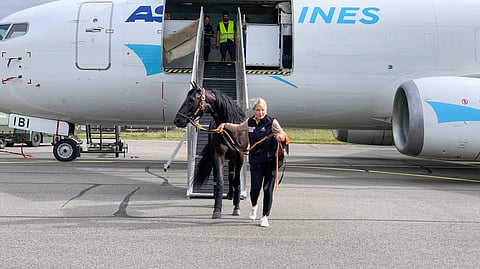 Garuda Fligny ottaa tuntumaa Suomen maankamaraan.