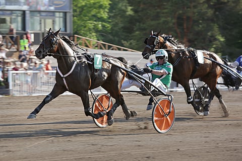 Power Blaster hurjasteli Vermossa kesäkuun lopulla ennätyksensä 11,2aly.