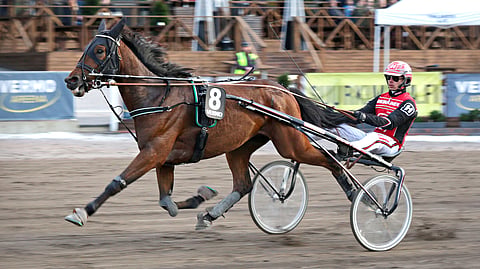 Ravihevonen Magazine Match rattaillaan Santtu Raitala