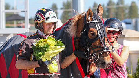 Liisan Tulilintu on Nordic Queen.
