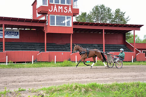 Heikki Torvinen on valmentanut Jämsän raviradalla yhteensä 20 vuotta, mutta hevoset ovat kiertäneet enemmän metsäsuoria kuin rataa. Kuvan Rawit on Torvisesta käsistä Kasvattajakruunun voittaneen Ballerina Luxxin varsa. "Rawit voi mennä joskus vaikka kymppiä, tai sitten sen ennätys voi jäädä 1.14-lukemiin", Torvinen sanoo.