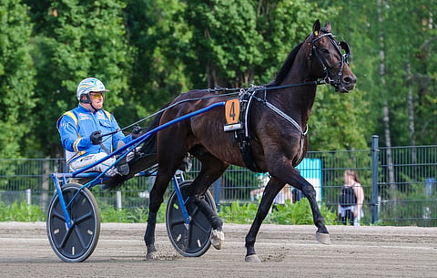 Kurri Jari Boko.