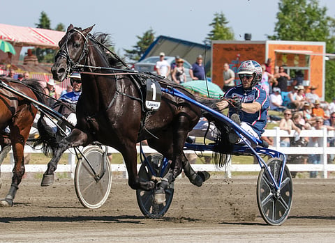 Voittavaa kaksikkoa ei eroteta. Janne Korpi ohjastaa Run For Royaltya myös St Michel-ajossa.