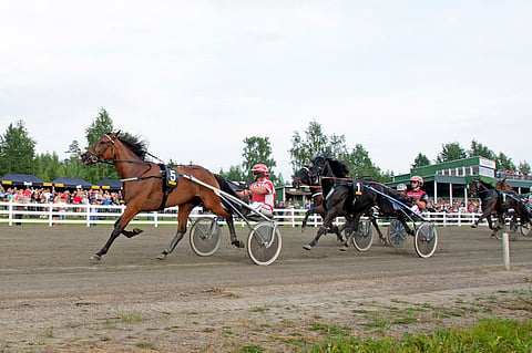 Shackhills Twister voitti Einari Vidgrénin muistoajon tuloksella 14,3a/2140 metriä.