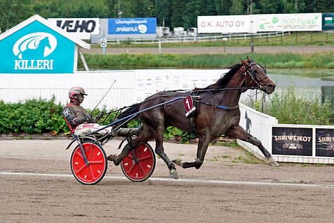 Amongst Star (kuvassa Santtu Raitalan ohjastamana) saa Seinäjoella taakseen Niko Jokelan.