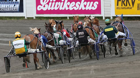 Kuninkuuskisan ratkaisumatkoille lähtee vain kymmenen hevosta.