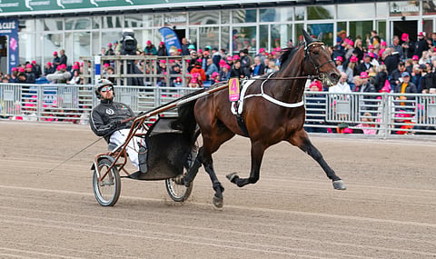 Daniel Redénin Hail Mary ravasi miljoonavoiton.