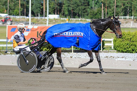Amazing Warrior oli usein ensimmäisenä maalissa.