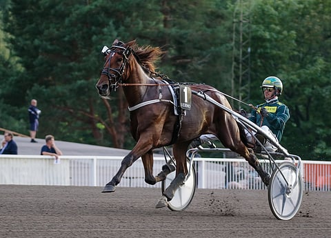 Kiikku’s Giant voitti viime syksynä Derbykarsinnan Vermossa. Nyt oli ykköstilan vuoro Jokimaalla.