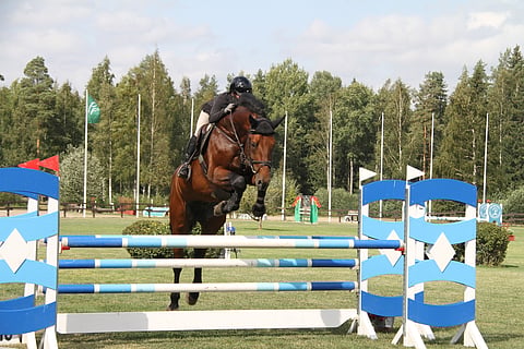 Riikka Harjula ja ST Inspector voittamassa 5-vuotisderbyä.