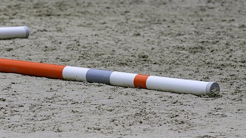 McConnon on syyllistynyt hevosen kaltoinkohteluun sekä FEI:n ja ratsastusurheilun huonoon maineeseen saattaneeseen käytökseen.