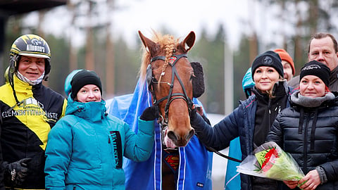 Rekilammen Saulin tärkeitä ihmisiä ovat ohjastaja Henri Bollström, osa-omistaja Eija Ala-Vannesluoma, hoitaja Kaisa Tamminen ja osaomistaja Maija Ala-Vannesluoma (oik).