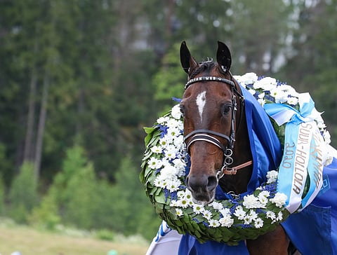 8-vuotiaana Elian Web täydensi Suur-Hollola-värisuoransa voitolla kolmos- ja kakkossijojen jälkeen. 