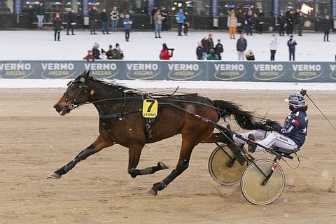 Gyro Gearloose voitti joulukuussa Vermossa Emma Väreen ohjastamana.
