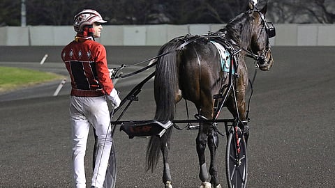 Dexter Dunn ja Bulldog Hanover poistuivat Meadowlandsista peräkanaa.