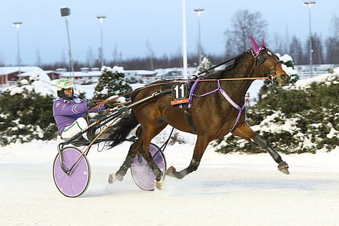 Stonecapes Violet karkasi muilta maalisuoralla.
