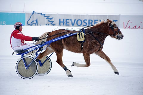 Kuvassa Fransuaa ajavan Jarkko Kervisen Rapsodi haastoi Fransuaa perjantai-iltana, mutta ei saanut otetta.