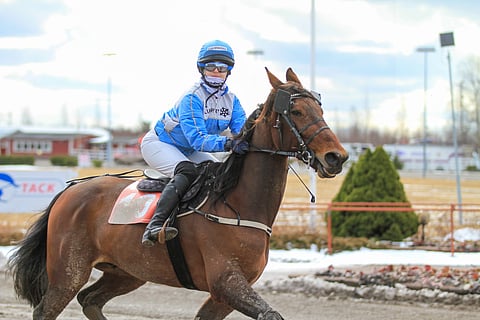 Suvi Vaittinen on ohjastajana tuttu näky myös montélähdöissä.