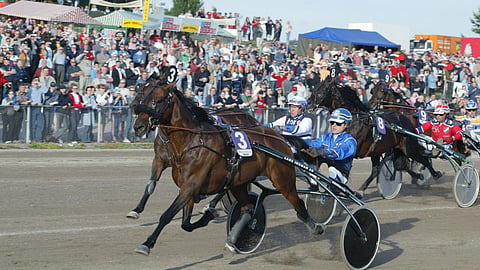 Inspiration Ride valloitti Suur-Hollola-ajon ensi kerran vuonna 2004 ennen Stefano Puebloa ja Mombasaa. Orin urallaan tienaamat 538 232 euroa kertovat oleellisen hevosen kyvyistä.