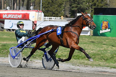 Heikki Korhonen omistama Callela Nelson hoiteli ensimmäisen Kuopio Stakes -karsinnan vakuuttavasti.