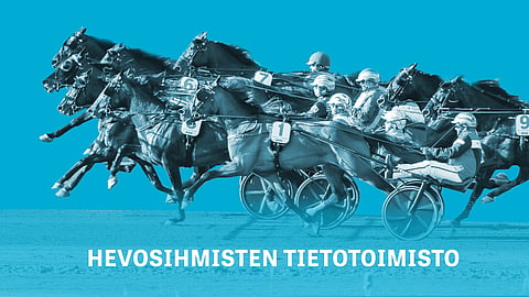 Hevosihmisten tietotoimisto: Kuinka monta saat oikein? Klikkaa ja testaa tietämyksesi