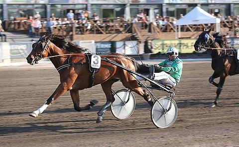 American Cooper leikitteli Kuuma Cupin karsintavoittoon.