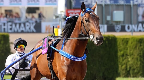 Etonnant voitti Elitloppet-karsintansa, mutta jäi laukan myötä finaalissa viidenneksi.