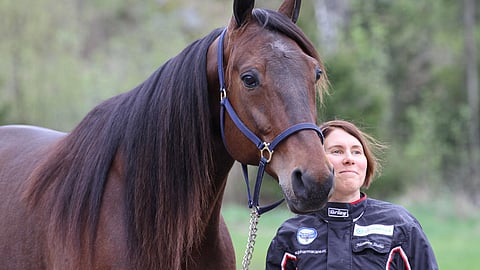 Aikansa Finlandia-ajo -voittaja Bret Boko on yksi Suvi Himangan elämänhevosista.