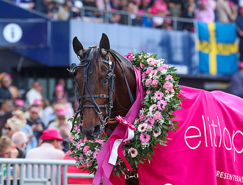 Ravit Elitloppet