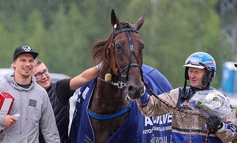 Pekka Korven tallista nähdään Mikkelin pääkilpailussa Suur-Hollola-ajon kärkikaksikko, kun Run For Royaltyn lisäksi kuvan American Hero sai kutsun St Micheliin.
