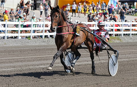 Grainfield Aiden alkaa taas löytämään huippuvireensä.