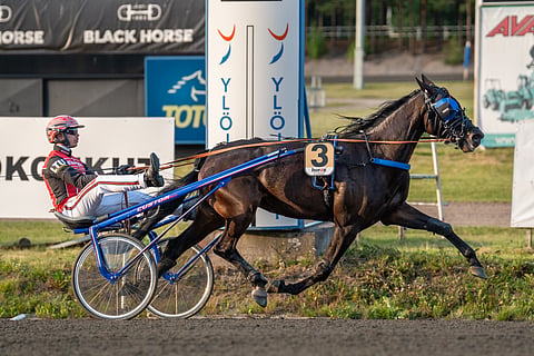 Kolmevuotias Sands Hybrid on voittanut viidestä kilpailustaan kolme. Santtu Raitala on ohjastanut yhtä lukuun ottamatta kaikki tamman startit.
