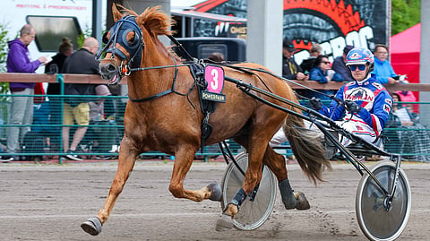 Julmin on menestynyt mainiosti, vaikka uraa ovat varjostaneet erilaiset vaivat.