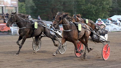 Harri Koivusen valmentama 	Backgammon Garden (1) siivitti Tuukka Variksen Junioritähti-kilpailusarjan voittoon.