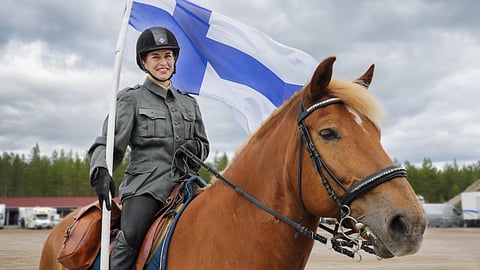 Suomenhevonen