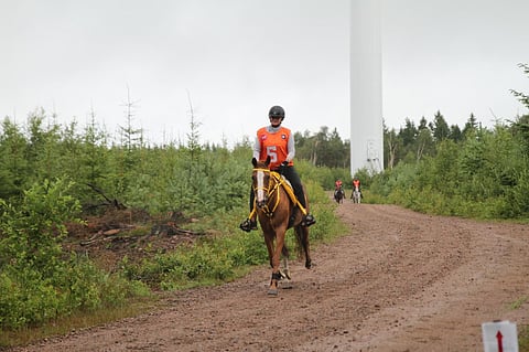 Lokakuussa matkaratsastetaan Suomessa kansainvälisesti. Kuvassa Nea Mickelsson ja Tersox. 