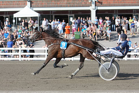 Insorto voitti ensimmäisen starttinsa Jokimaalla 30.6. Tino Paldanin ohjastamana.