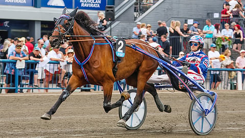 Olli Koivunen on ohjastanut Fiorinin uran kuudesta voitosta viisi.