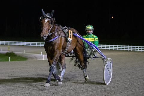 Jukka Torvinen on vastannut viime ajat All Star Mintin ohjastuksesta.