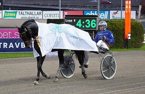 Staro Mack Crowe ja Rikard N Skoglund.