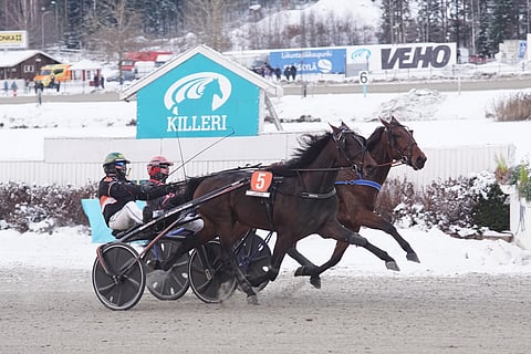 Xanthus Kemp voitti marraskuussa 2-vuotiaiden oriiden ja ruunien Kasvattajakruunun.