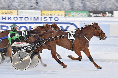 Zähikäinen pamautti viime startissaan kovalla kirillä ykköseksi.